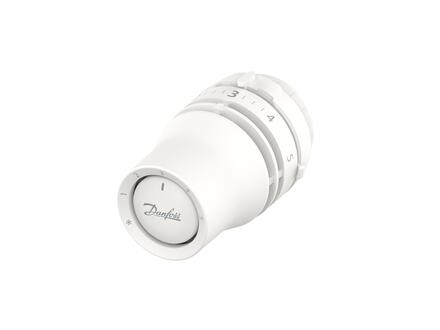 TETE THERMOSTATIQUE LIQUIDE - Tête RAW