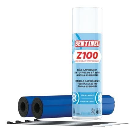 KIT SPRAY CONGELANT     Z100L-12X300MLKIT-EXP