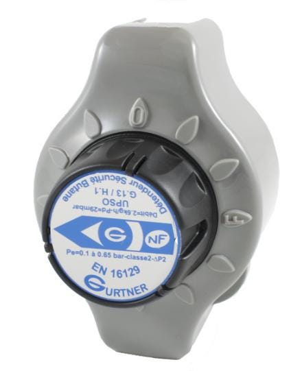 DETENDEUR BUT EXPORT 6KG/H 28MB      13100.07