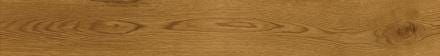 CAR. EXENCE AMBER 18,5X150               AL88 ATLAS CONCORDE  [AL88] 