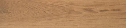 CAR. ETIC ROVERE VENICE SCAL. ANG. DX    AV78