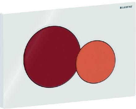 PLAQUE DE DECL. SIGMA01 DB/TCH   115.770.FY.5 GEBERIT  [115.770.FY.5]