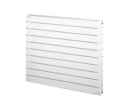 FASSANE HORIZONTAL - VXD - Double - Radiateur décoratif de chauffage central - Acier