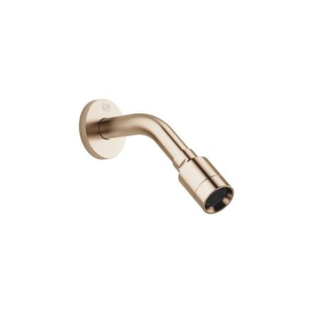 DOUCHE DE TETE LIGHT GOLD BROSSE  28613970-27