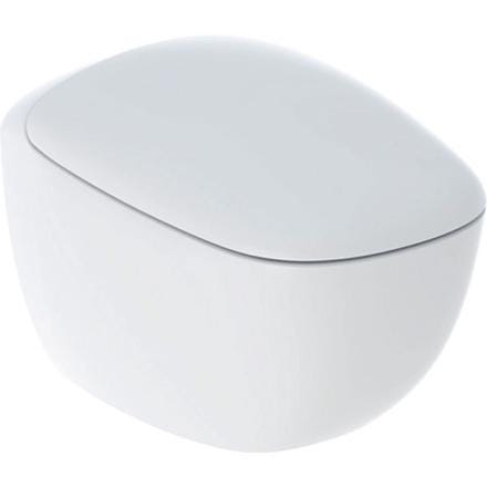 PACK WC SUSP CITTERIO RIMFREE    500.805.00.1 GEBERIT