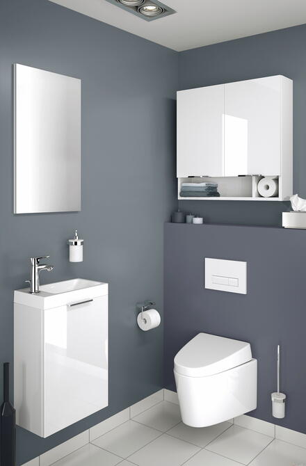 COMPOSITION DELPHY ESPACE TOILETTE