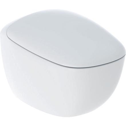 PACK WC SUSP CITTERIO RIMFREE    500.805.00.1 GEBERIT
