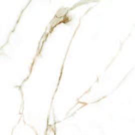 CAR. STATUARIO 60X120   G. BRERA GOLD LAPPATO