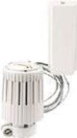 TETE THERMOSTATIQUE - R462 - Palpeur à distance