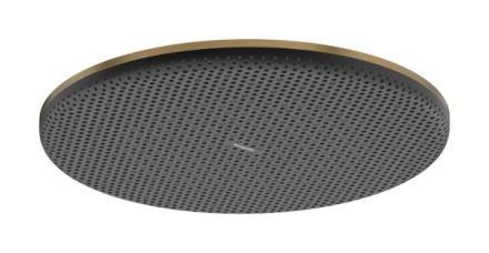 RAINDANCE ALIVE S DOUCHE DE TETE 300 24523140