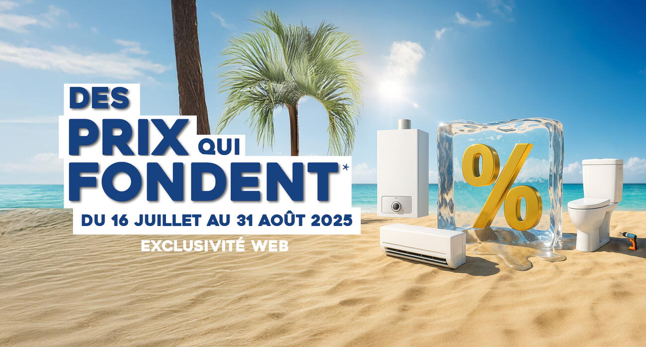Des prix qui fondent-braderie-digitale-nationale